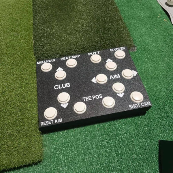 BA Custom SimMarshal Bluetooth Plug and Play Control Box