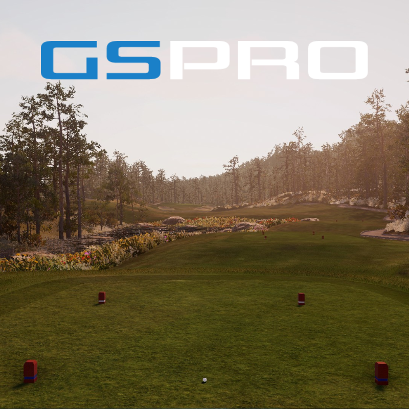 GSPro Software tee box.