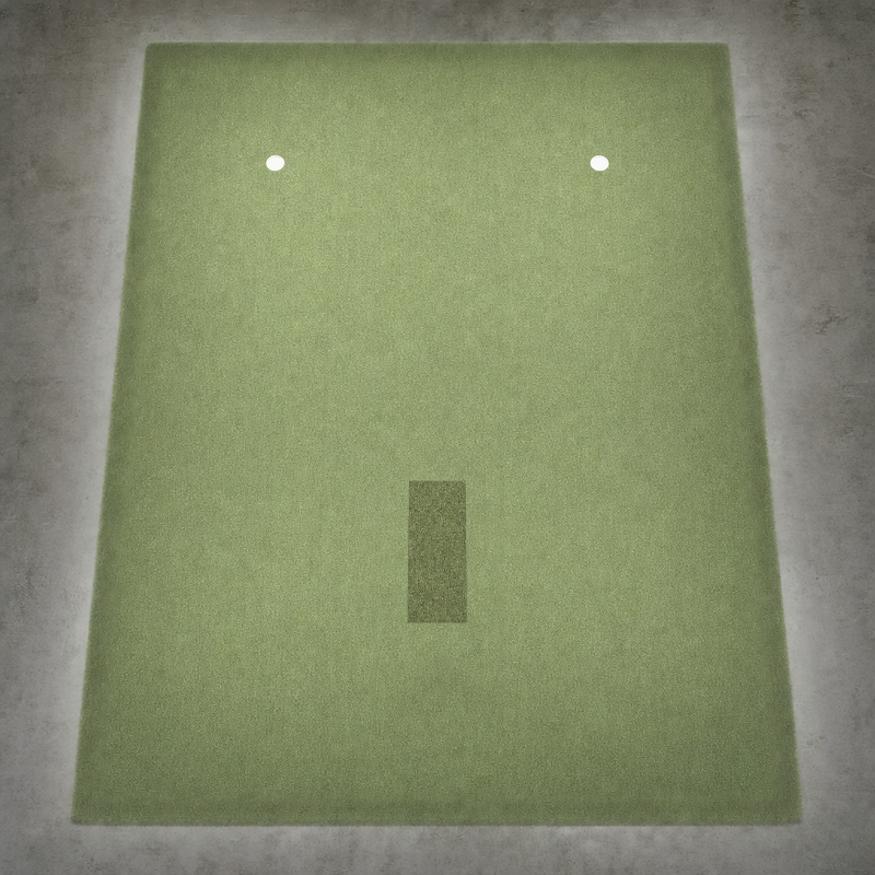 IGO Single-Level Golf Simulator Flooring in green seen from above, with the hitting strip and two putting cups.