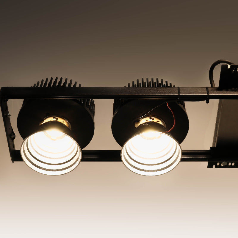 JC Video Lighting background lights.