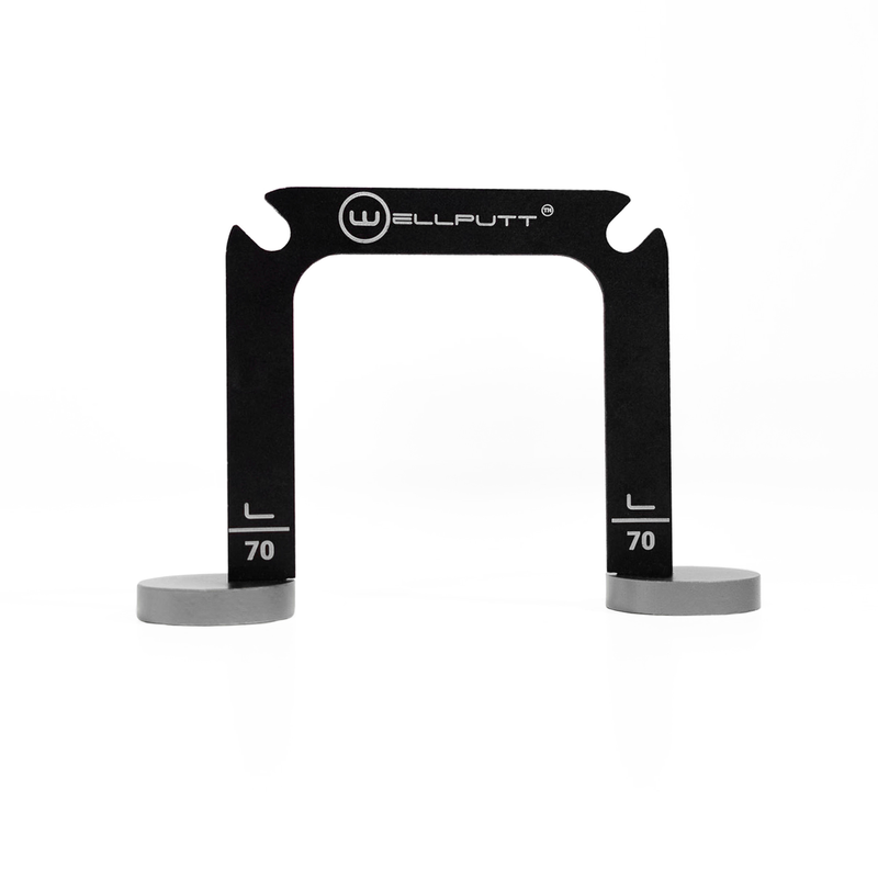 Large Wellgate putting gate.